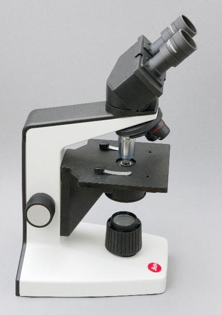 Leitz HM Lux 3 microscope